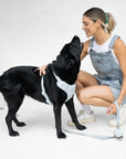 Bella Cord No Pull Harness - Sea Salt