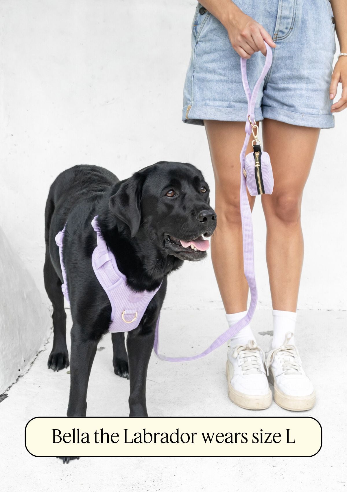 Bella Cord No Pull Harness - Lavender