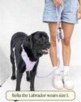 Bella Cord No Pull Harness - Lavender