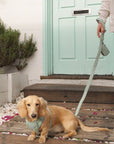 Bella Cord No Pull Harness - Sage Green