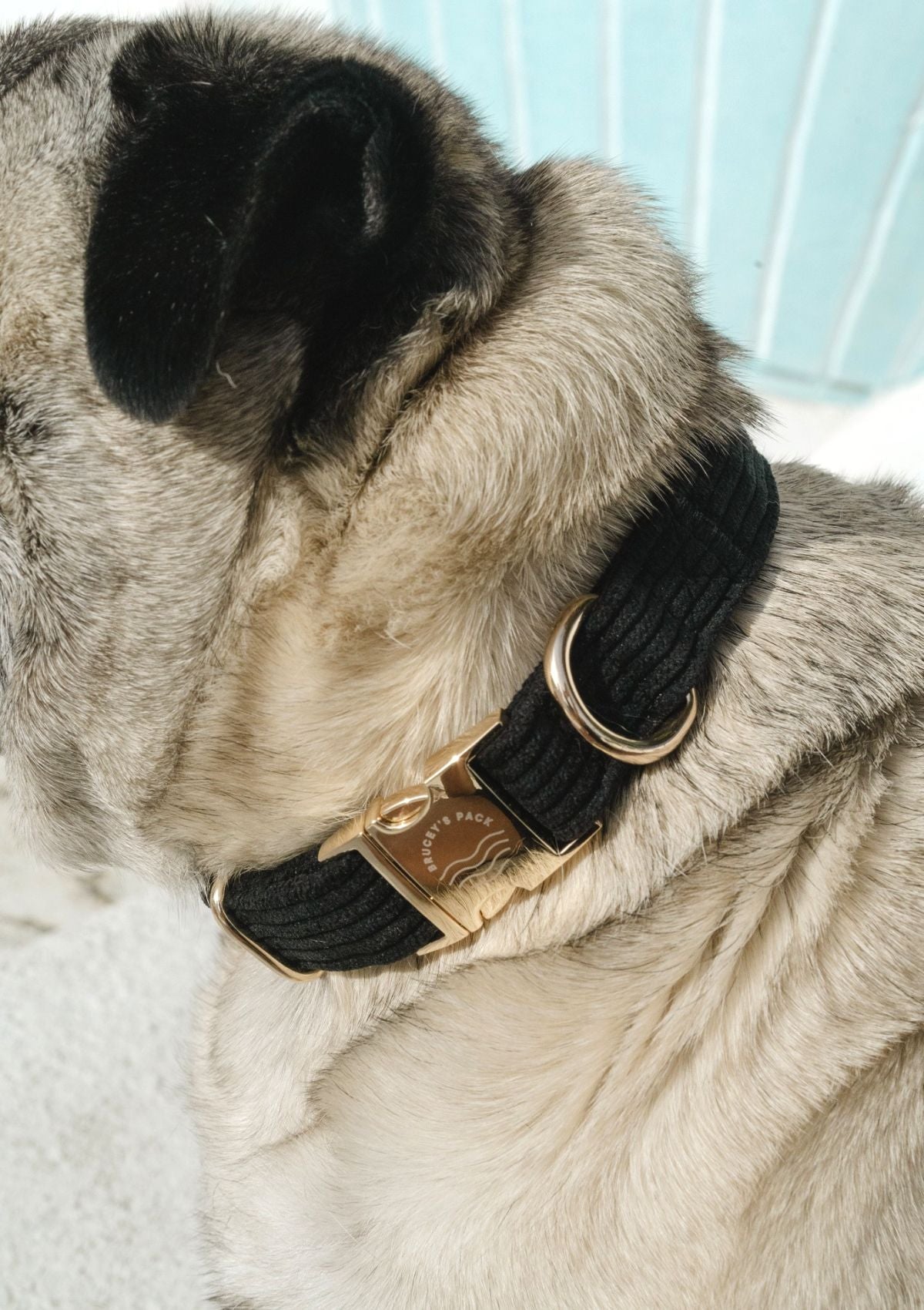 Bella Cord Collar - Black