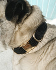 Bella Cord Collar: Black