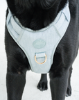 Bella Cord No Pull Harness - Sea Salt