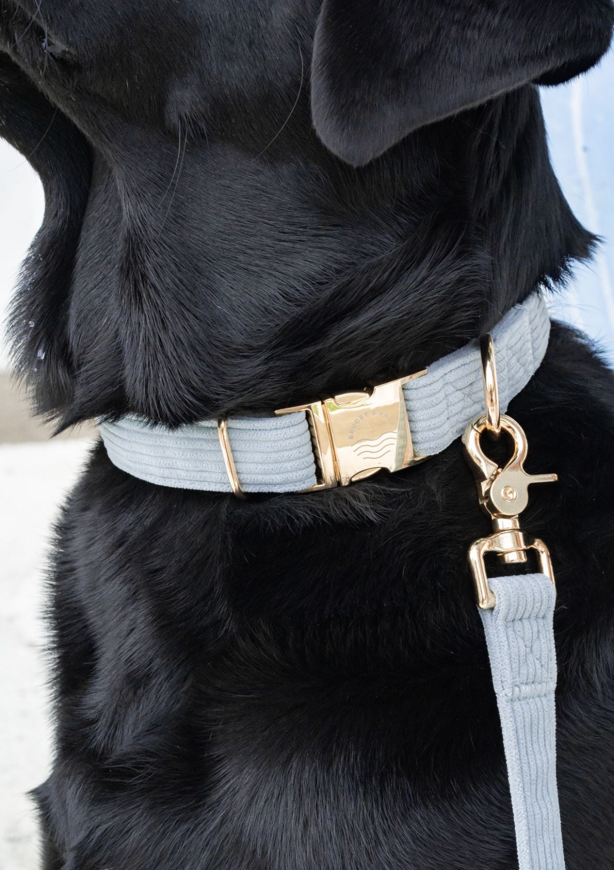 Bella Cord Collar - Sea Salt