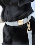 Bella Cord Collar: Sea Salt