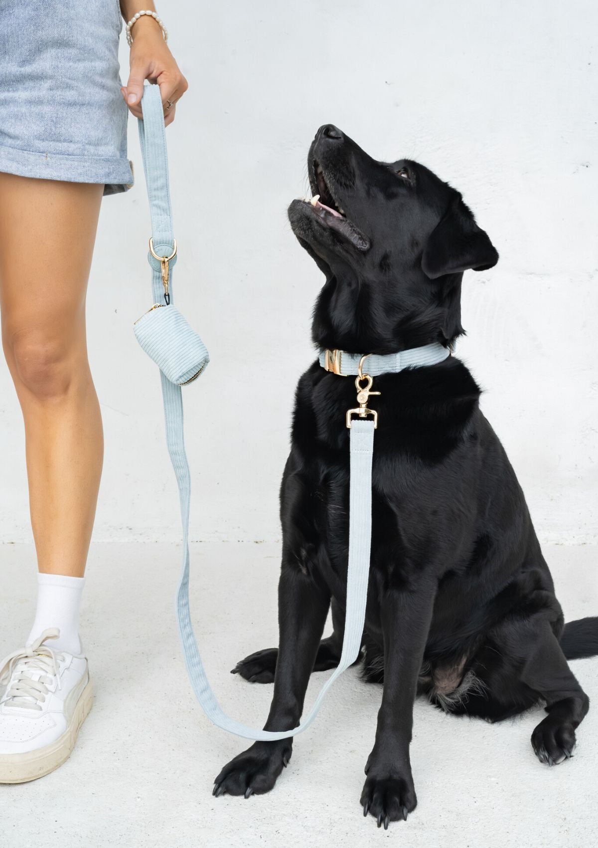 Bella Cord Collar - Sea Salt