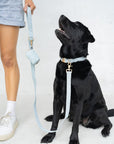 Bella Cord Collar: Sea Salt