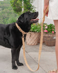 Bella Cord Collar: Mango