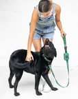 No-Jamming Everyday Leash - Palm Beach