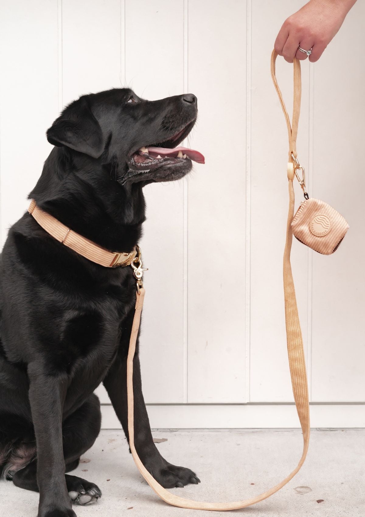 Bella Cord Leash -  Mango