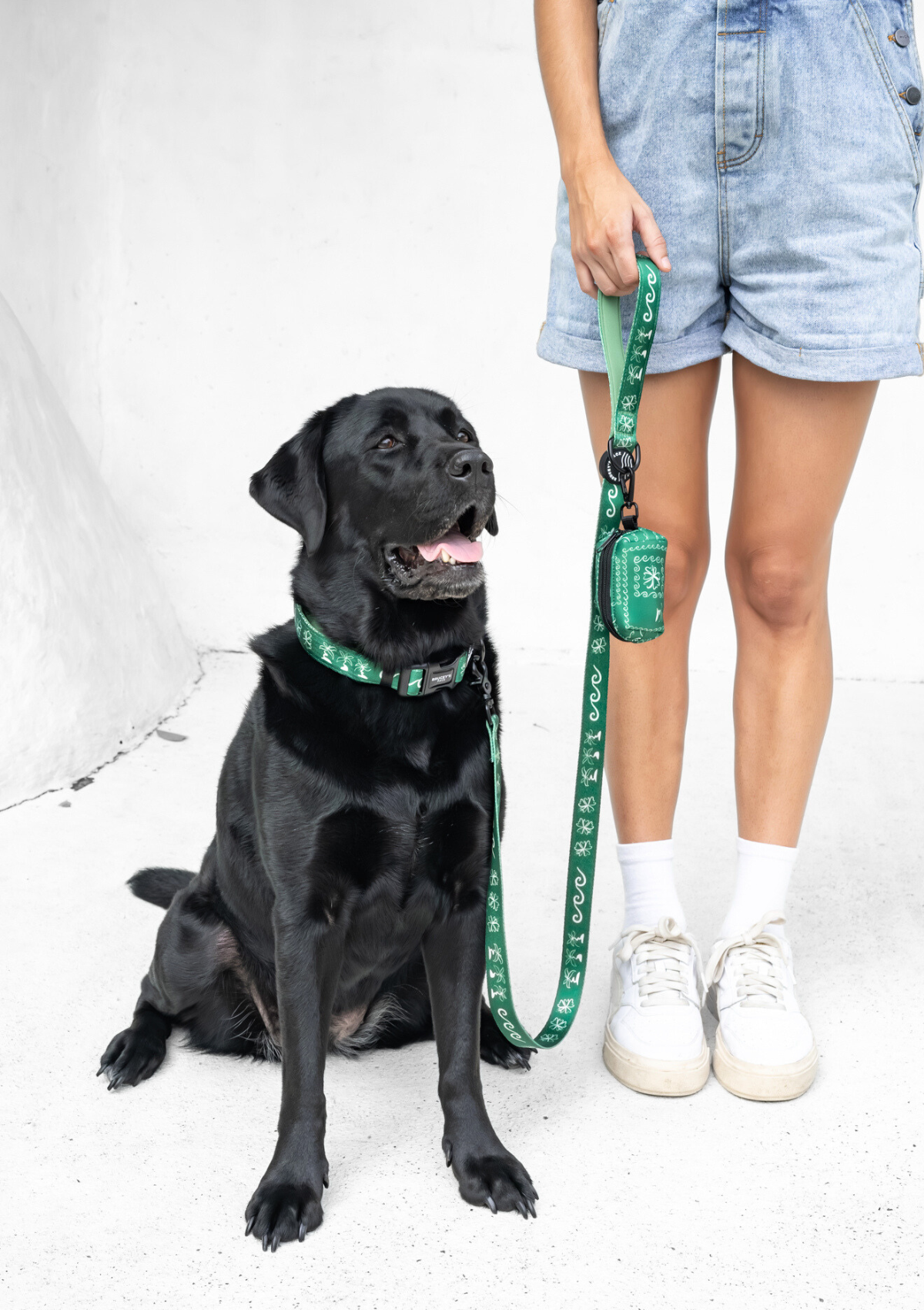 No-Jamming Everyday Leash - Palm Beach