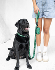 No-Jamming Everyday Leash - Palm Beach