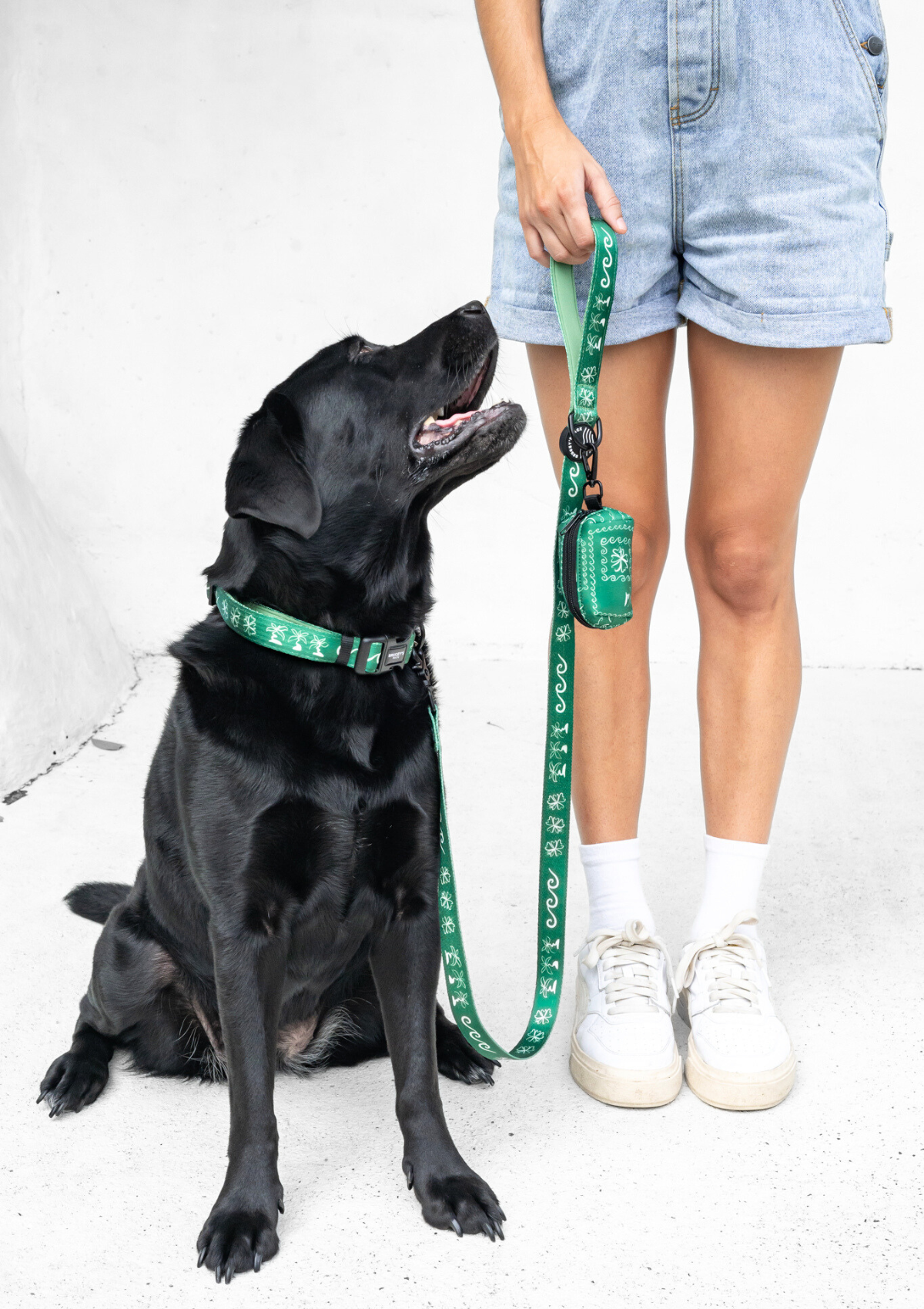 Recycled Collar - Palm Beach