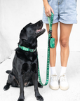 Recycled Collar - Palm Beach