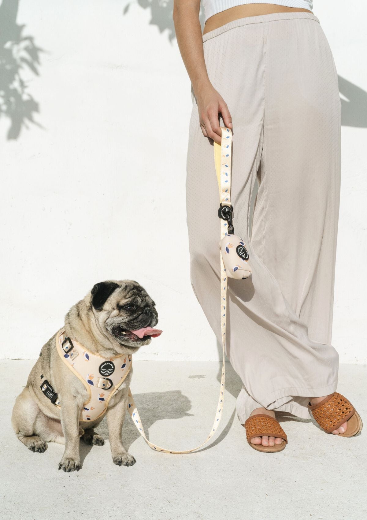 Anti-jamming Everyday Leash - Mr Percival