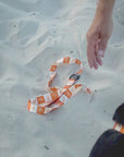 No-Jamming Everyday Leash - Palm Beach