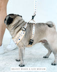 Chest Harness - Mr Percival