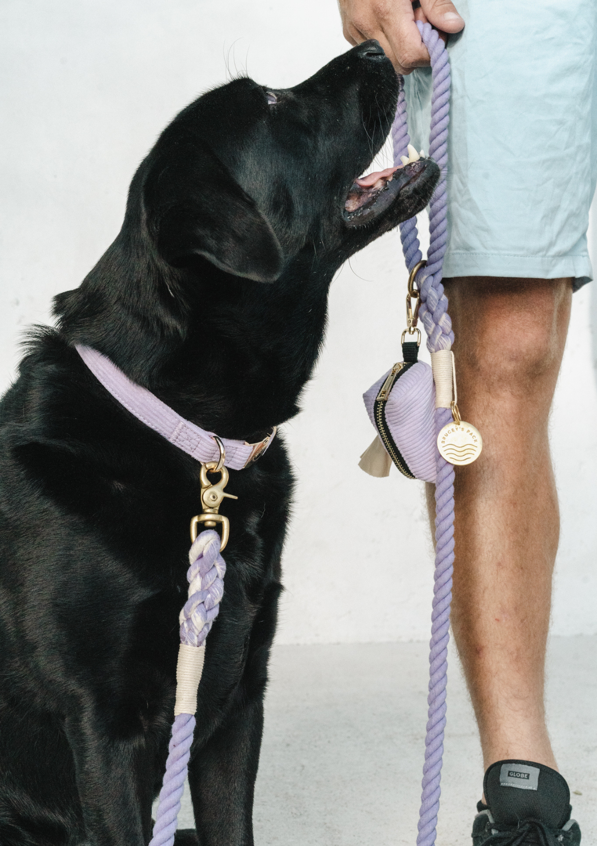 Organic Cotton Rope Leash - Lavender