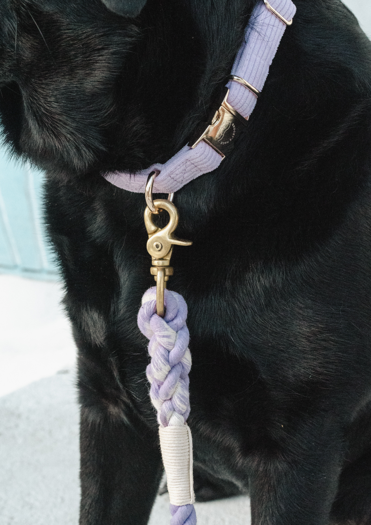 Organic Cotton Rope Leash - Lavender