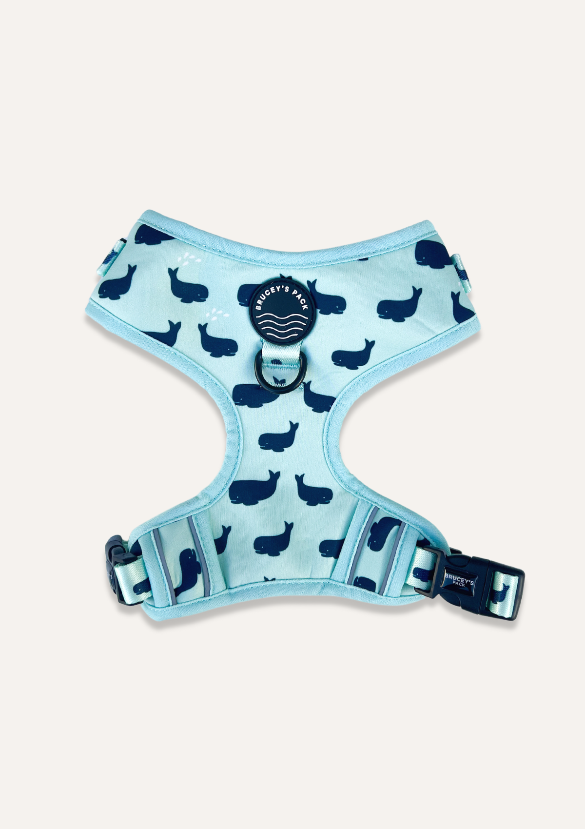 Chest Harness - Whale Of A Time