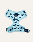 Chest Harness - Whale Of A Time