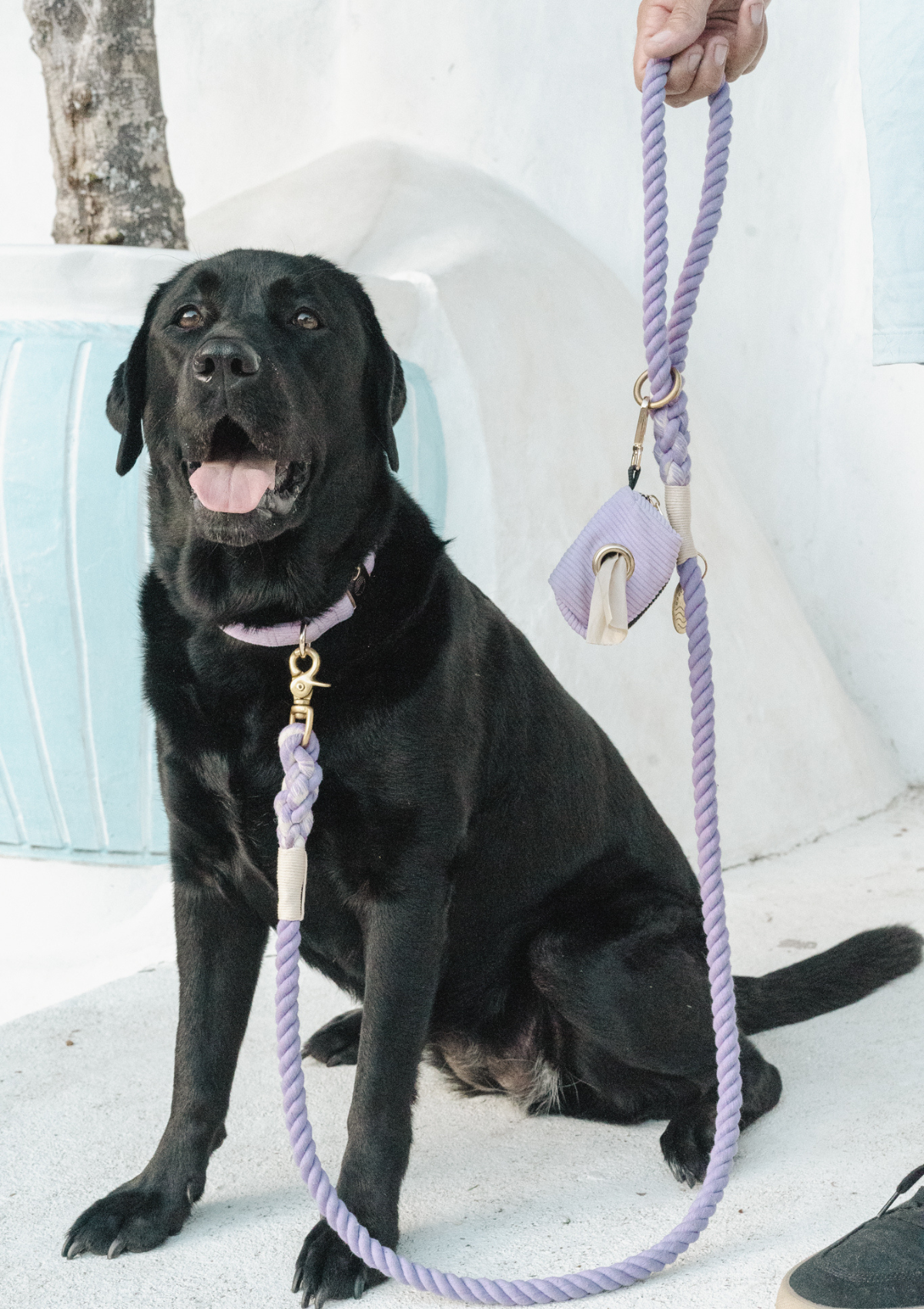 Bella Waste Bag - Lavender