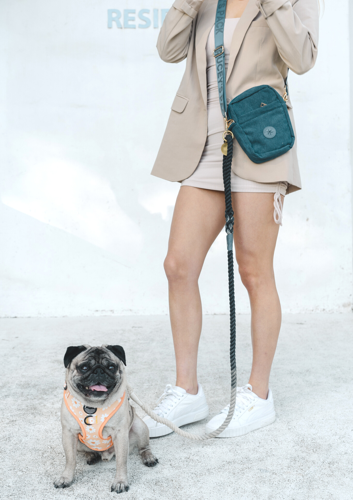 Organic Cotton Rope Leash - Emerald Ombre