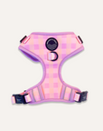 Chest Harness - Miami Gingham