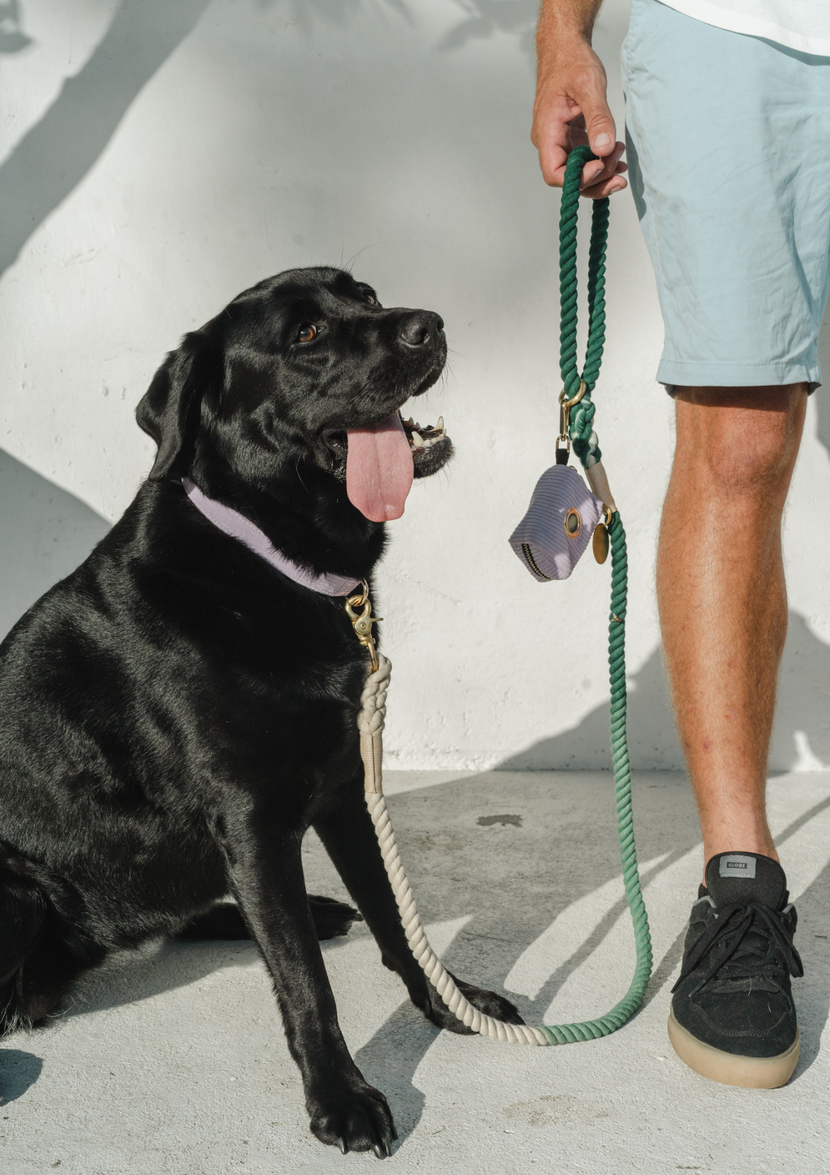 Organic Cotton Rope Leash - Emerald Ombre