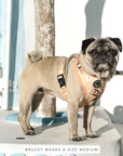 Chest Harness - My Little Petal