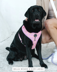 Chest Harness - Miami Gingham