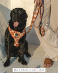Chest Harness - Seaside