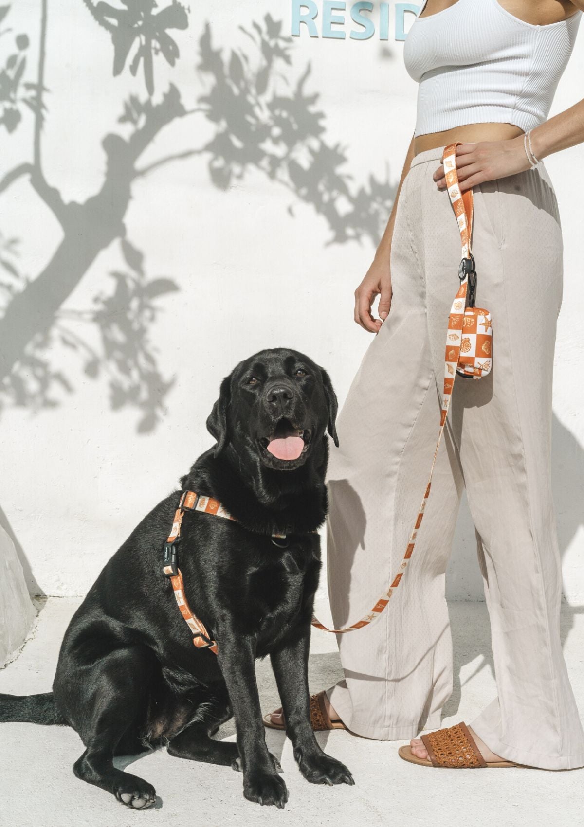 No Pull Strap Harness - Seaside