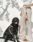 No Pull Strap Harness - Seaside