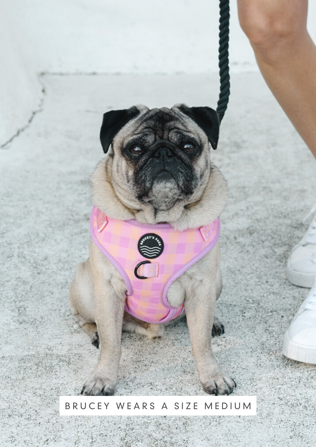 Chest Harness - Miami Gingham