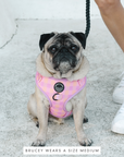 Chest Harness - Miami Gingham