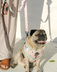 Chest Harness - One In A Melon