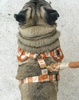 Chest Harness - Seaside