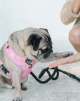 Chest Harness - Miami Gingham