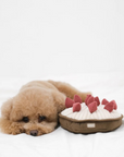 Berry Pie