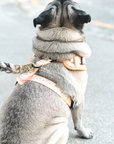 Chest Harness - My Little Petal