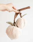 Peaches