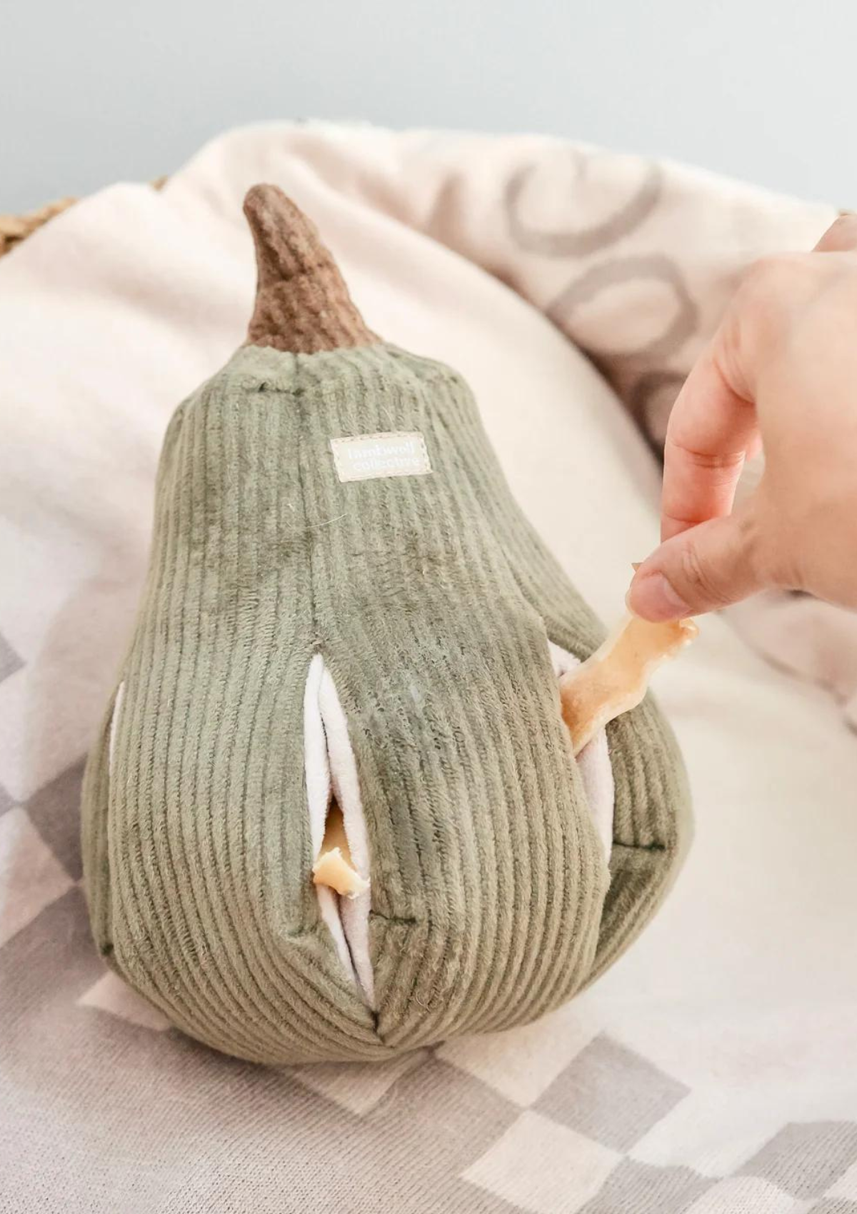 Butternut