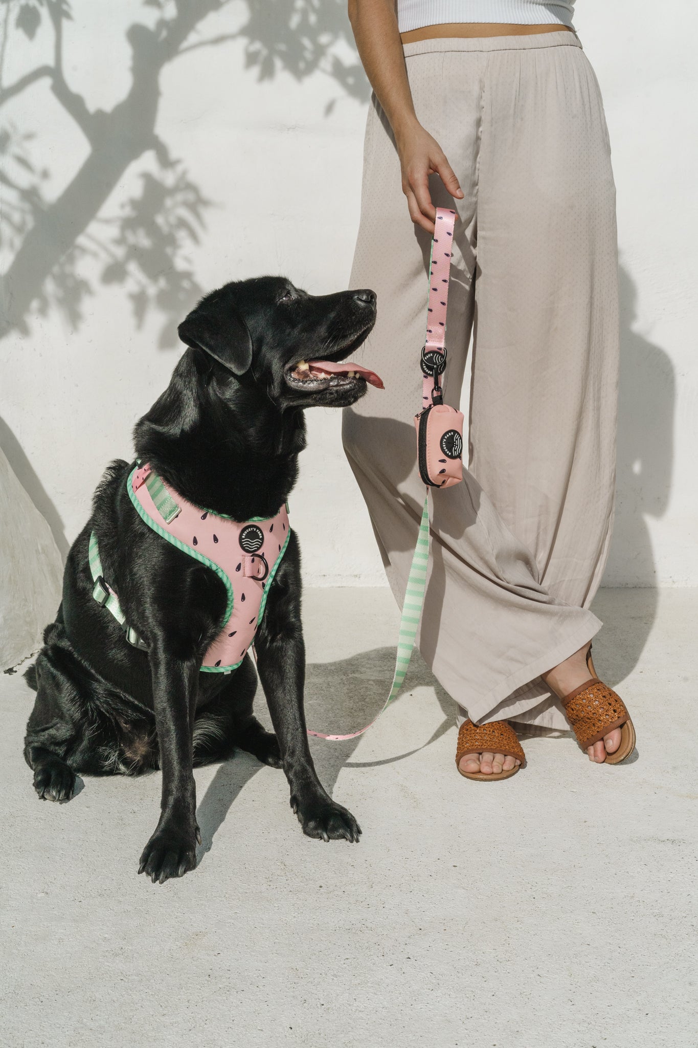 Anti-jamming Everyday Leash - One In A Melon