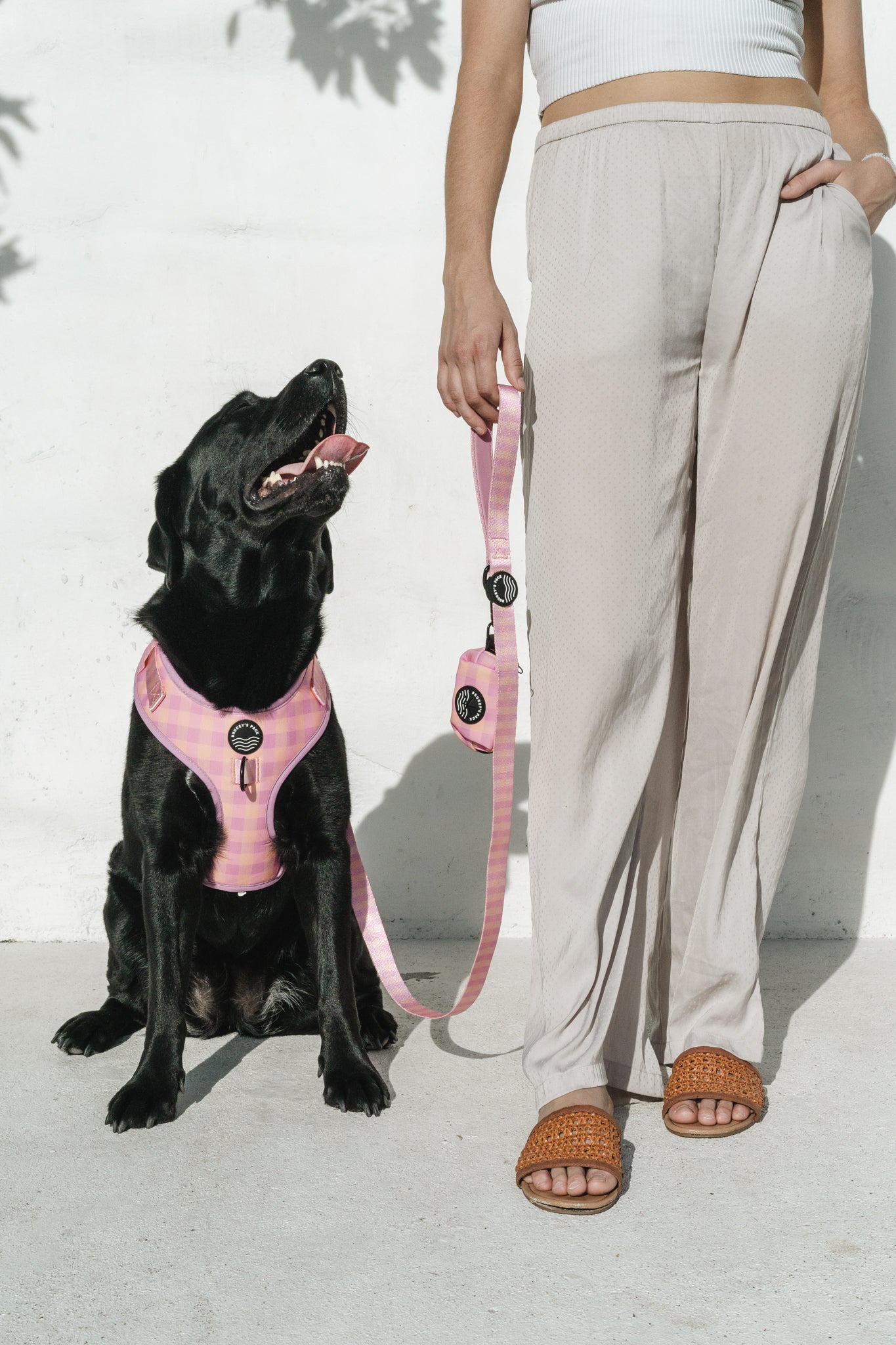 Anti-jamming Everyday Leash - Miami Gingham