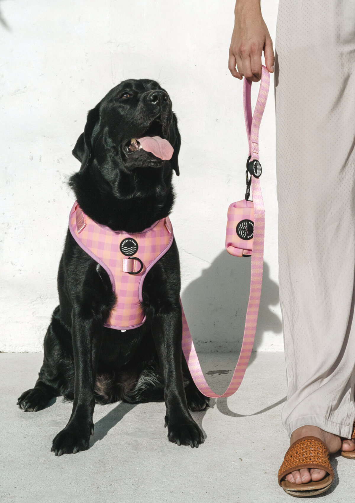 Miami Gingham Poop Bag Holder