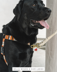 No Pull Strap Harness - Seaside