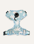 Chest Harness - Cooly