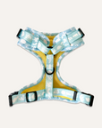 Chest Harness - Cooly