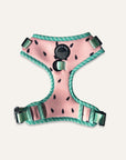 Chest Harness - One In A Melon